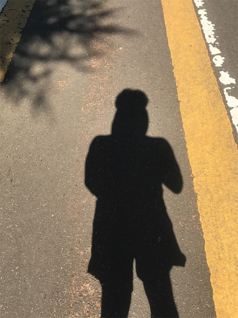 f:id:CHASSESPLEEN:20190804143743j:image