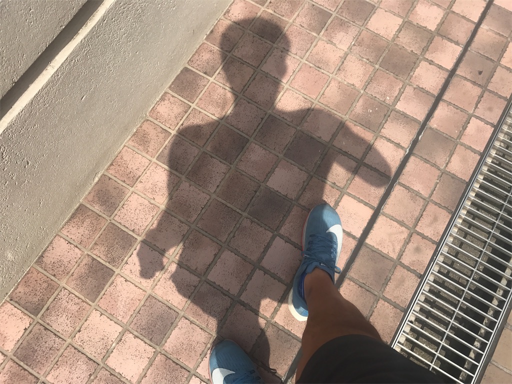 f:id:CHASSESPLEEN:20190810144015j:image