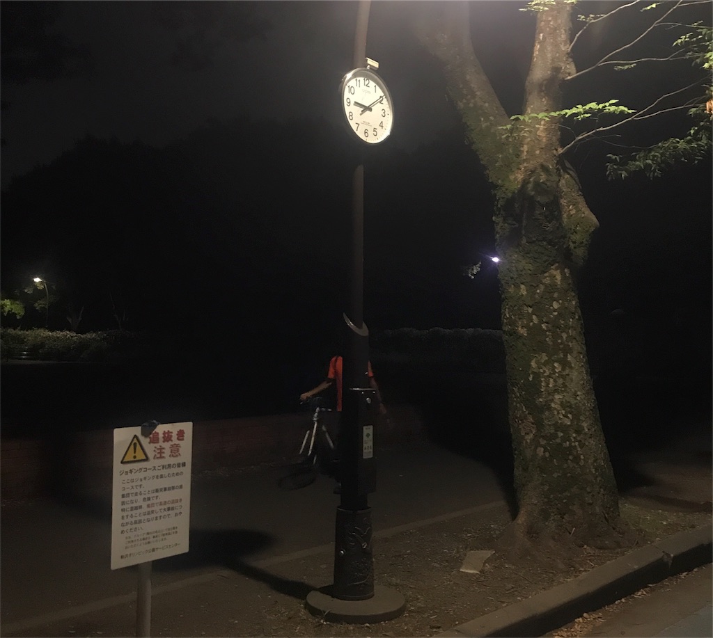 f:id:CHASSESPLEEN:20190811211141j:image