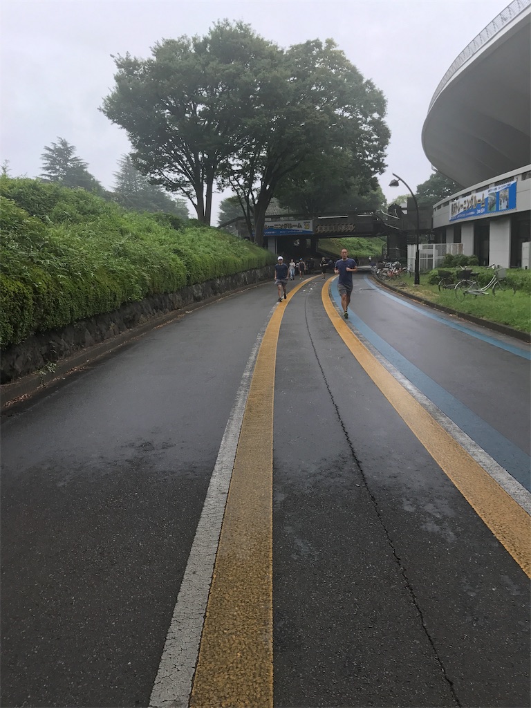 f:id:CHASSESPLEEN:20190812114829j:image