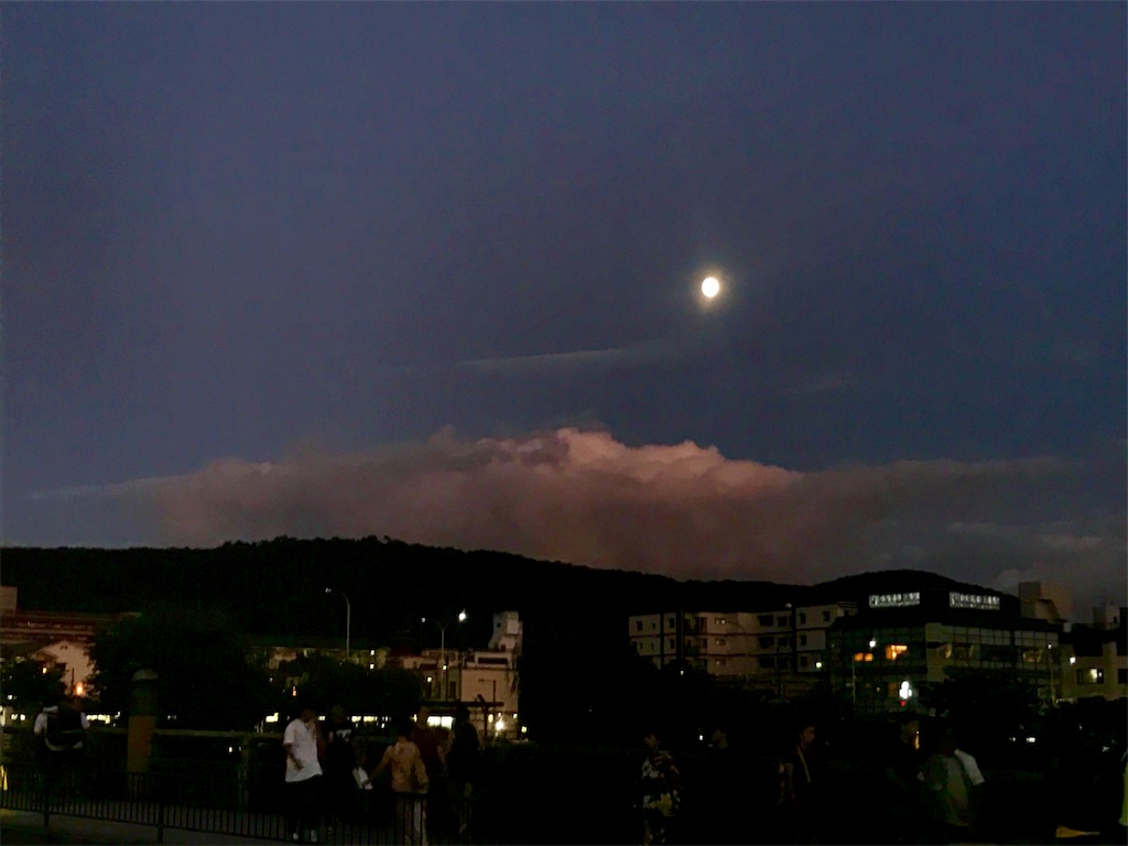 f:id:CHASSESPLEEN:20190815183946j:image