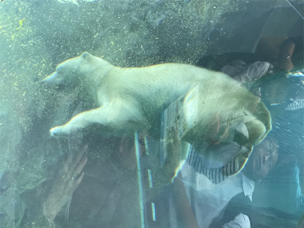 f:id:CHASSESPLEEN:20190824173114j:image