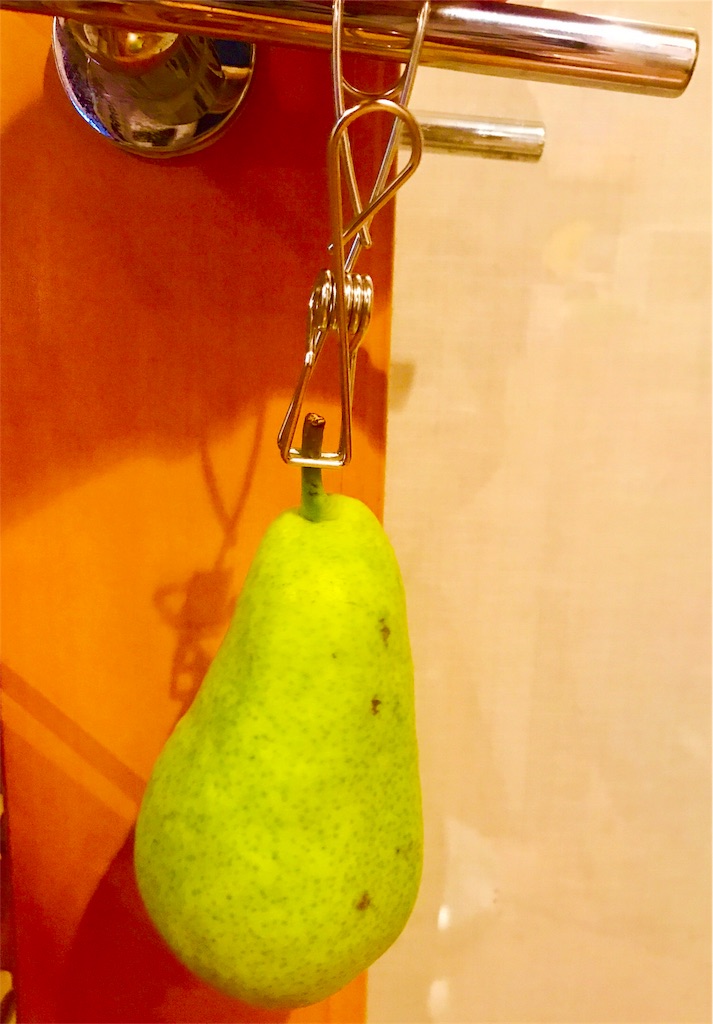 f:id:CHASSESPLEEN:20190827142659j:image f:id:CHASSESPLEEN:20190827142659j:image