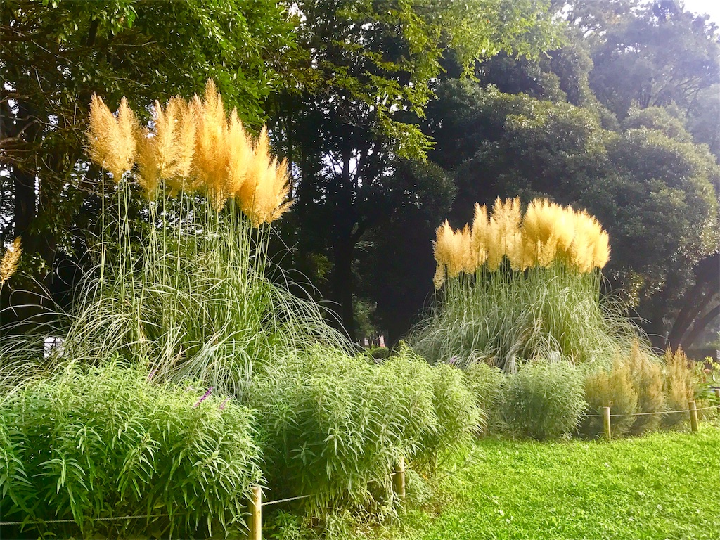 f:id:CHASSESPLEEN:20190901182018j:image