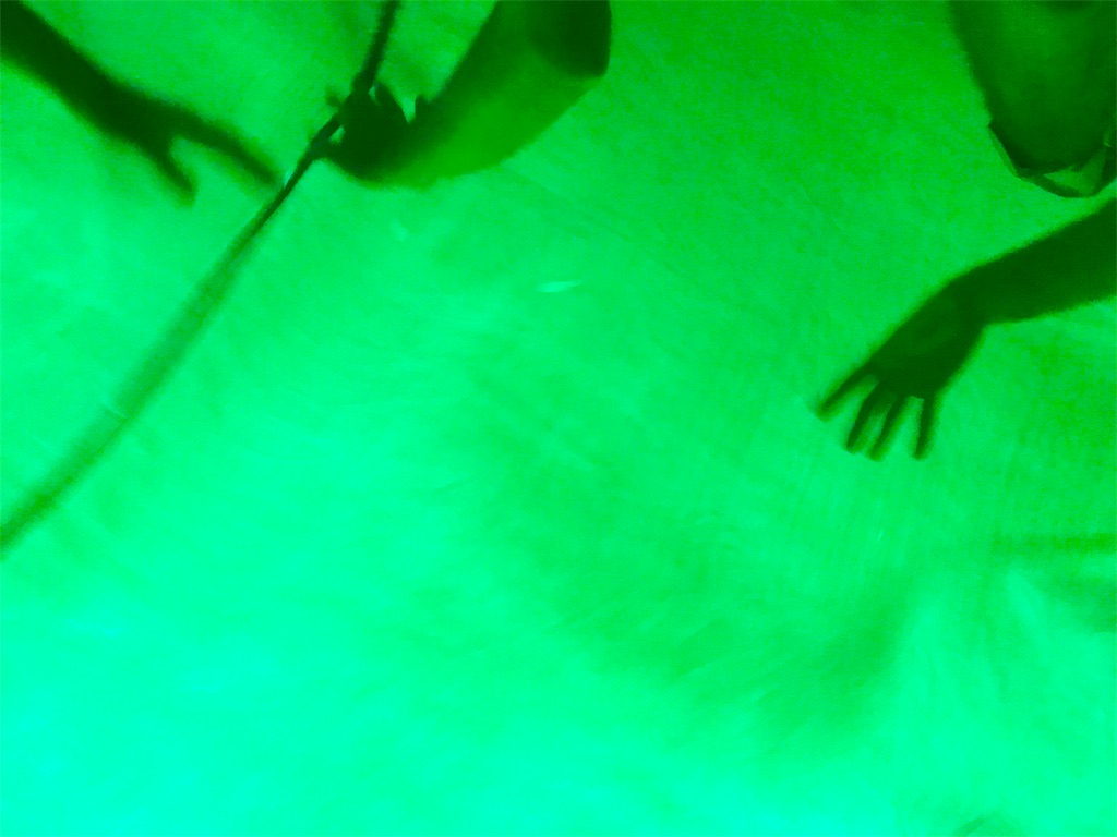 f:id:CHASSESPLEEN:20190928200355j:image