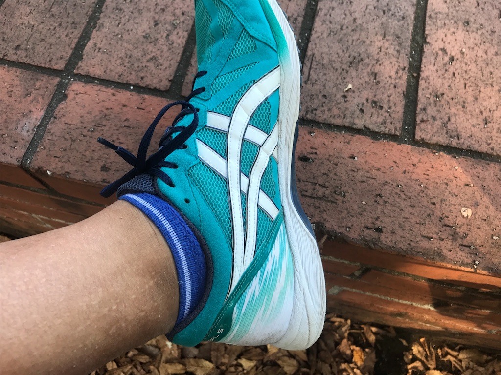 f:id:CHASSESPLEEN:20191102151922j:image