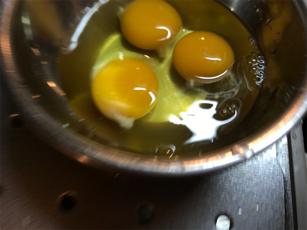 f:id:CHASSESPLEEN:20191103222406j:image