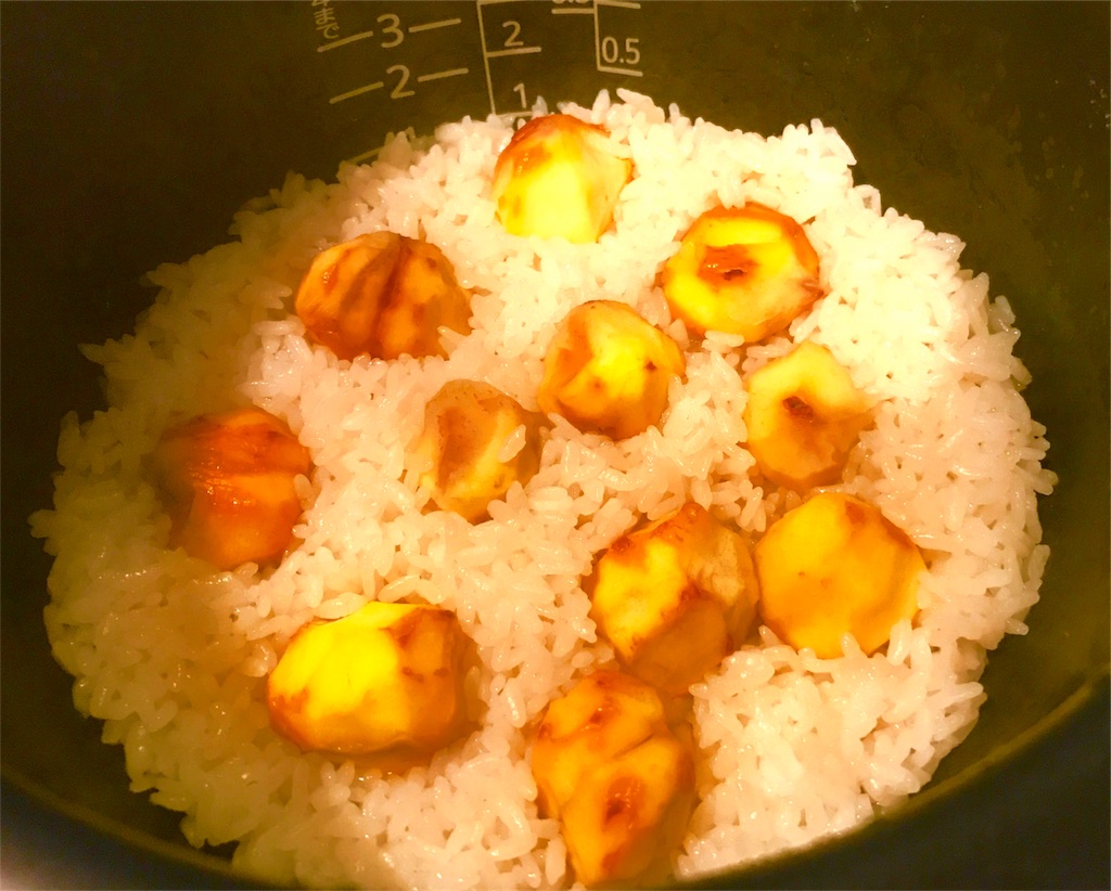 f:id:CHASSESPLEEN:20191107072234j:image