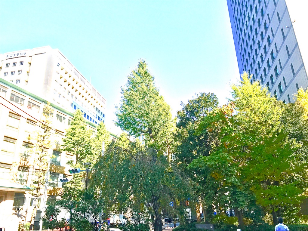 f:id:CHASSESPLEEN:20191114131634j:image