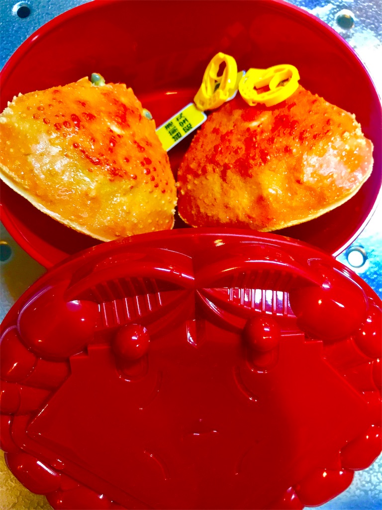 f:id:CHASSESPLEEN:20191115234526j:image