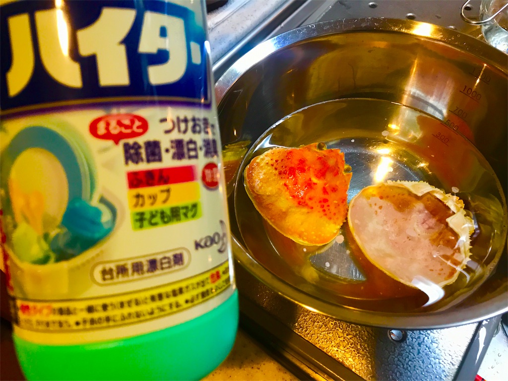 f:id:CHASSESPLEEN:20191116233105j:image