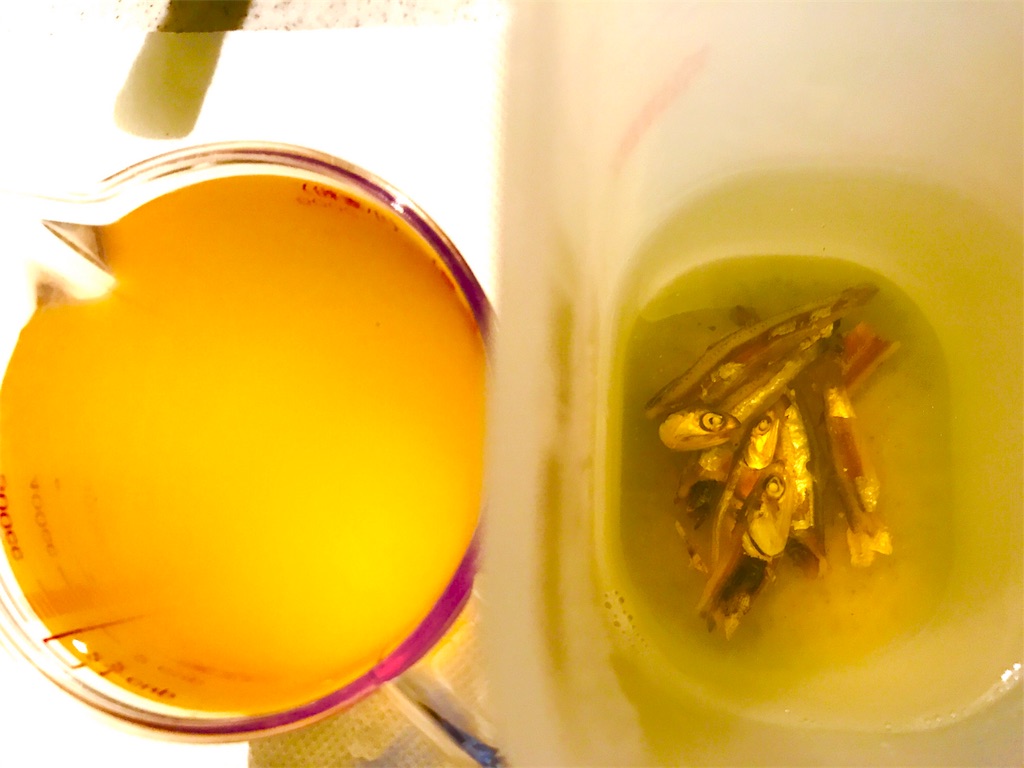 f:id:CHASSESPLEEN:20191117003036j:image