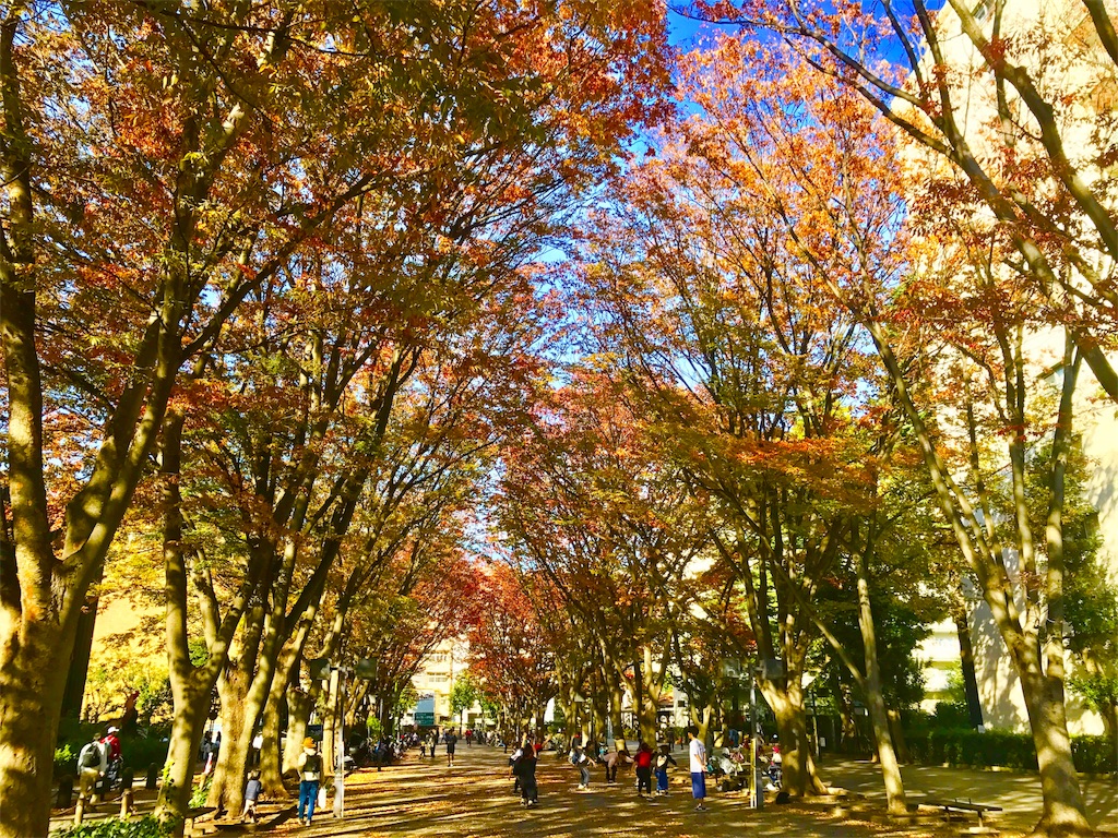 f:id:CHASSESPLEEN:20191117162146j:image