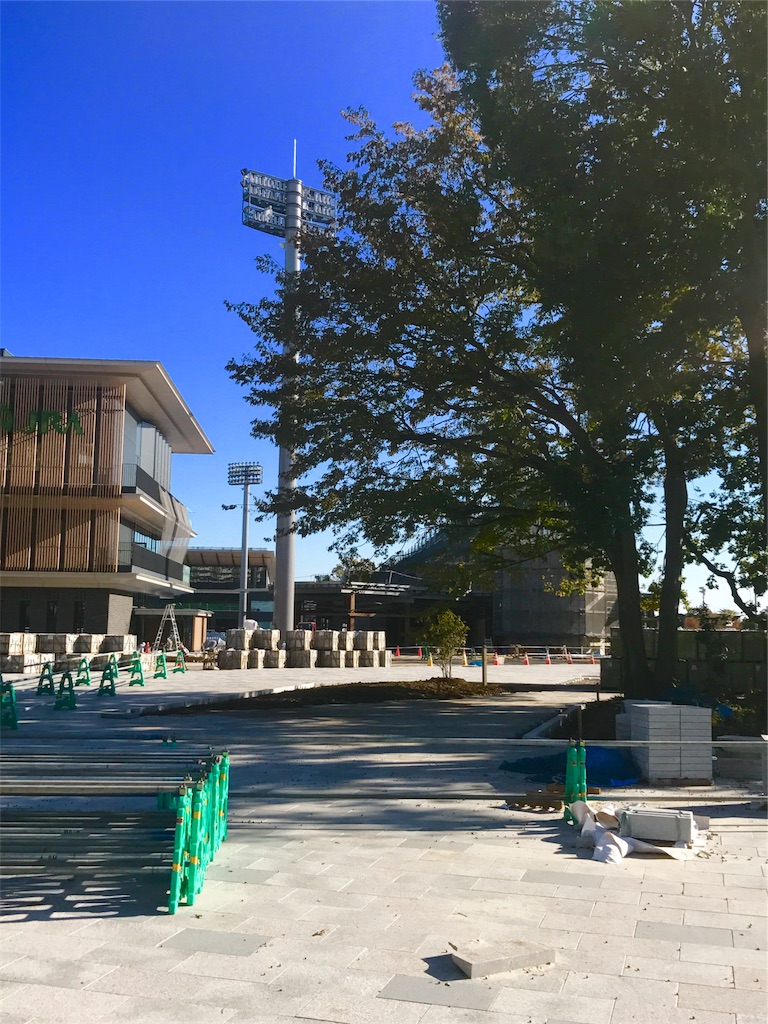 f:id:CHASSESPLEEN:20191117162312j:image