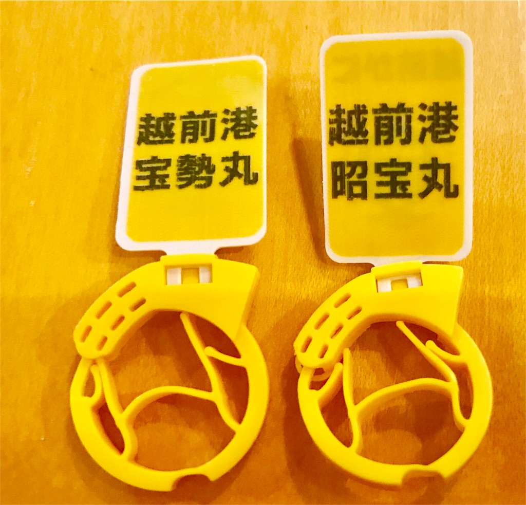 f:id:CHASSESPLEEN:20191117233212j:image