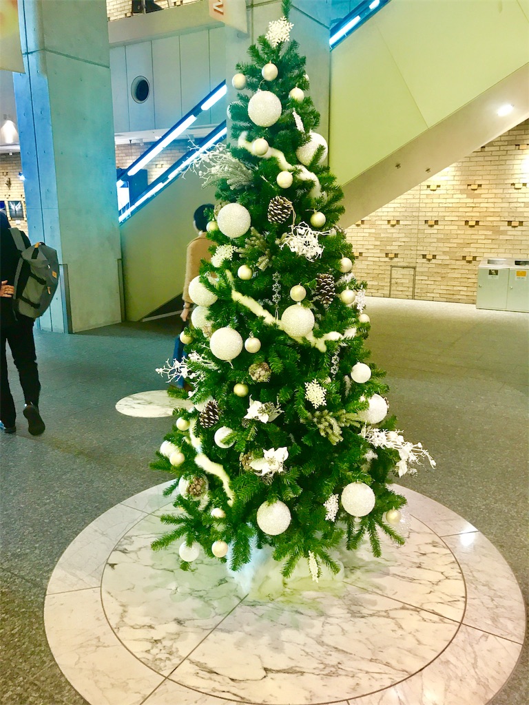 f:id:CHASSESPLEEN:20191120220511j:image