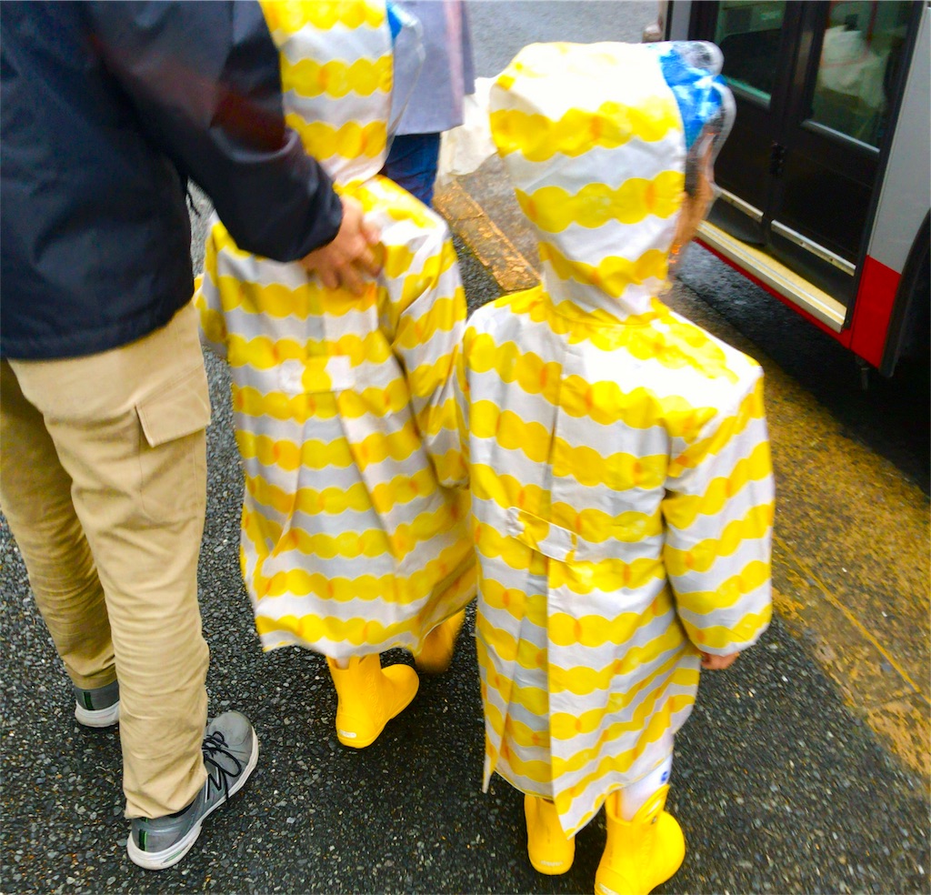 f:id:CHASSESPLEEN:20191122222818j:image