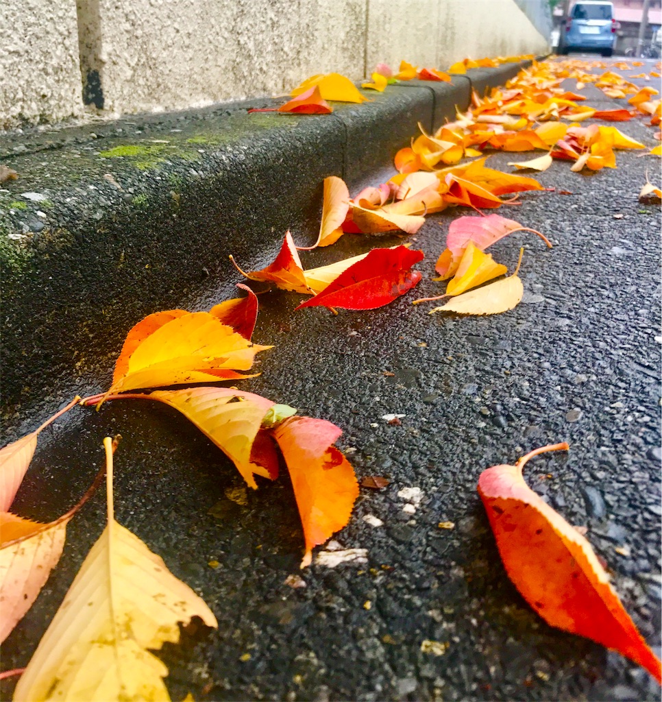 f:id:CHASSESPLEEN:20191125141102j:image