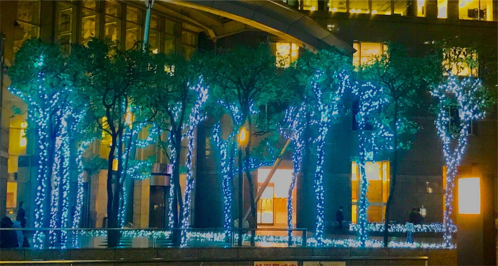 f:id:CHASSESPLEEN:20191125183940j:image