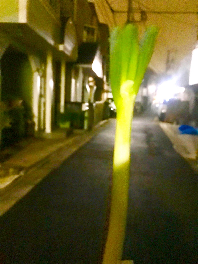 f:id:CHASSESPLEEN:20191127214907j:image