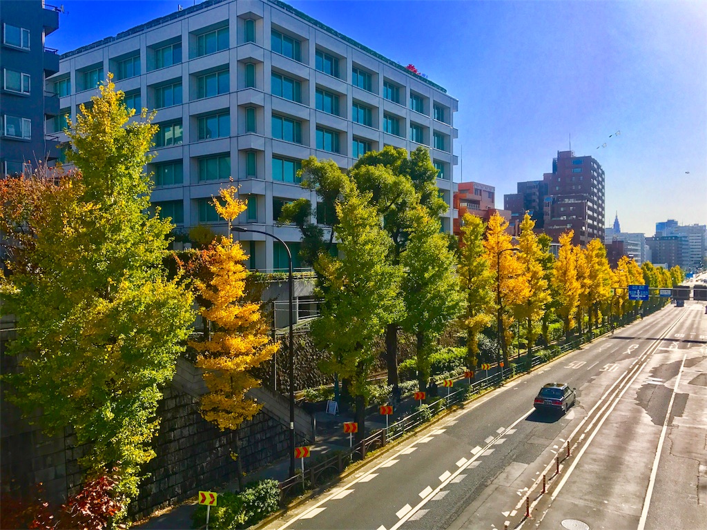 f:id:CHASSESPLEEN:20191130133541j:image