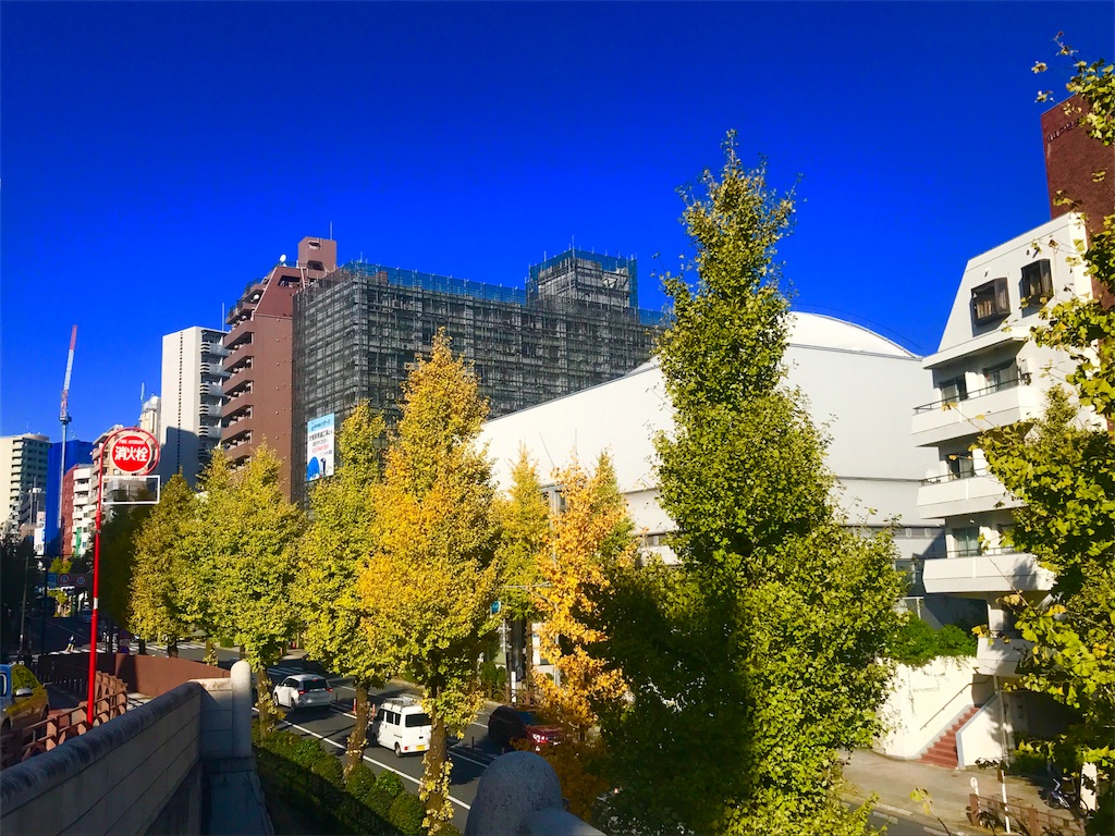 f:id:CHASSESPLEEN:20191130133552j:image