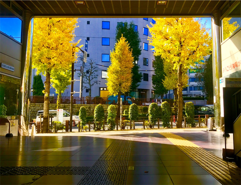 f:id:CHASSESPLEEN:20191130133836j:image