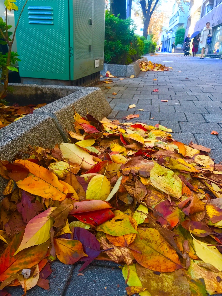 f:id:CHASSESPLEEN:20191203084232j:image