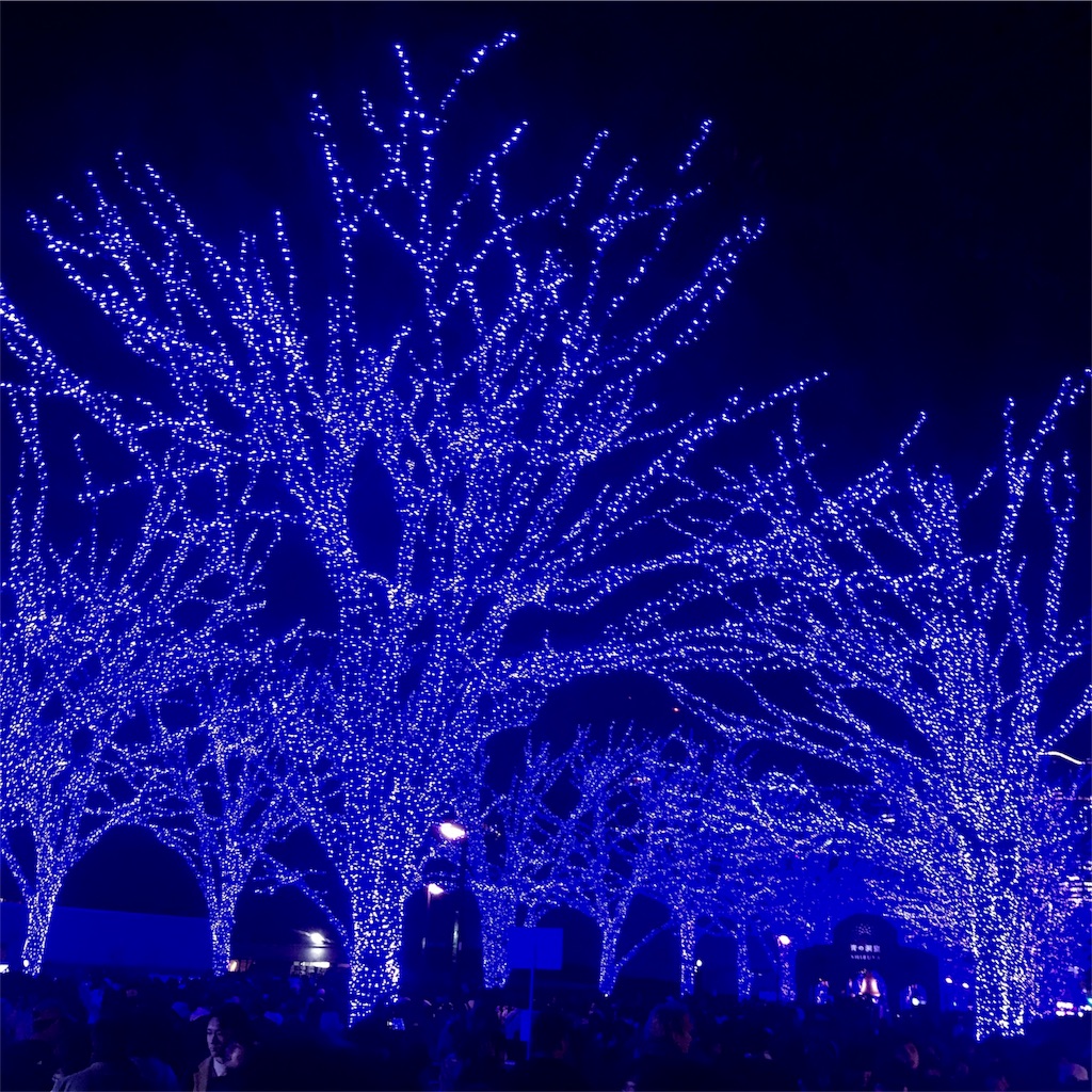 f:id:CHASSESPLEEN:20191225225325j:image