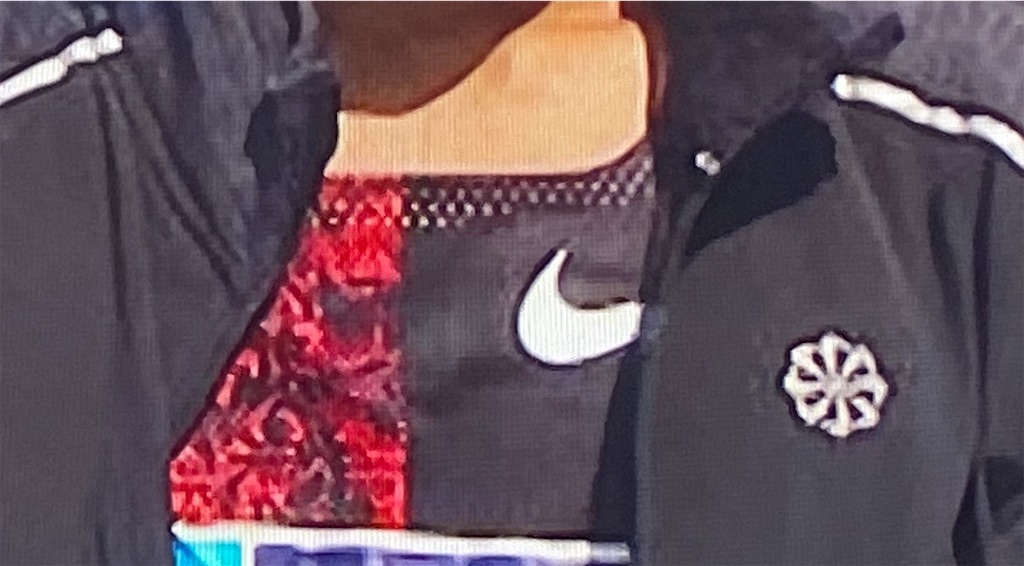 f:id:CHASSESPLEEN:20200301114210j:image