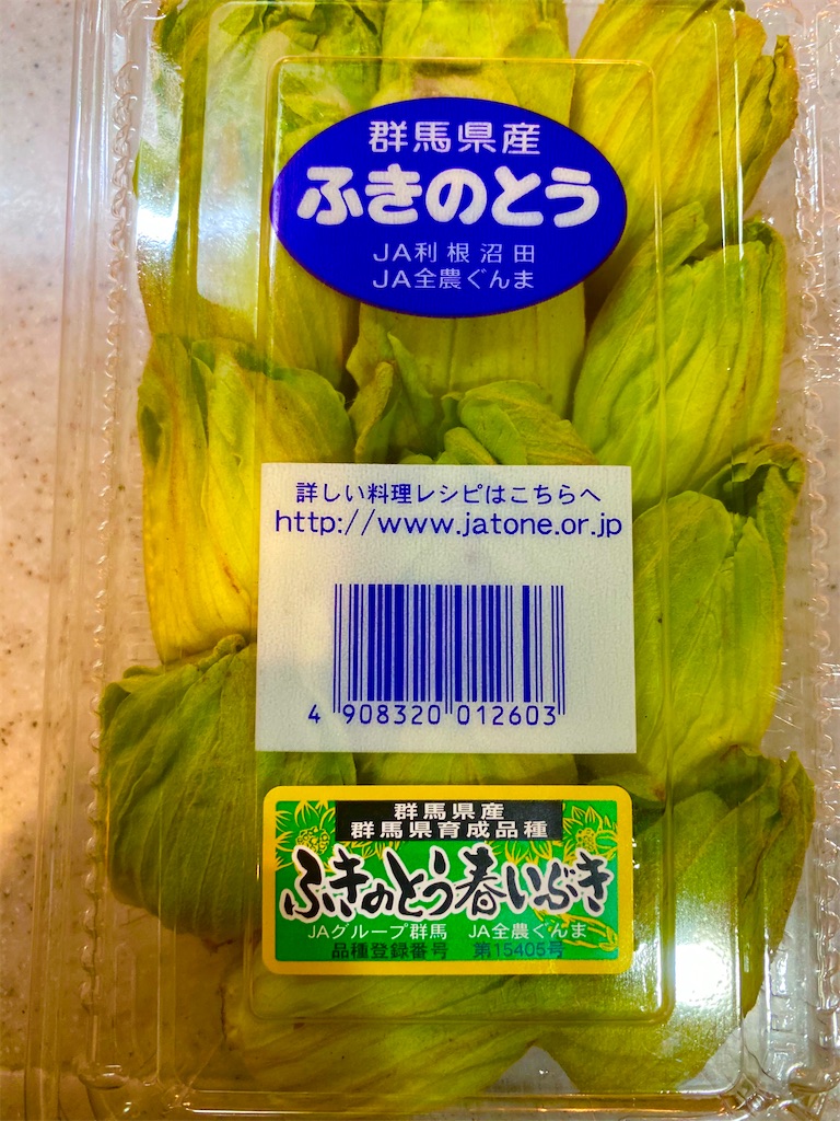 f:id:CHASSESPLEEN:20200301201714j:image