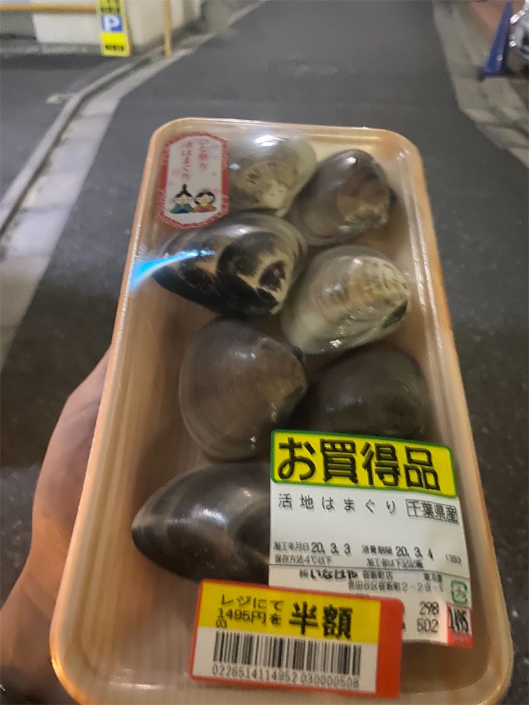 f:id:CHASSESPLEEN:20200303210515j:image