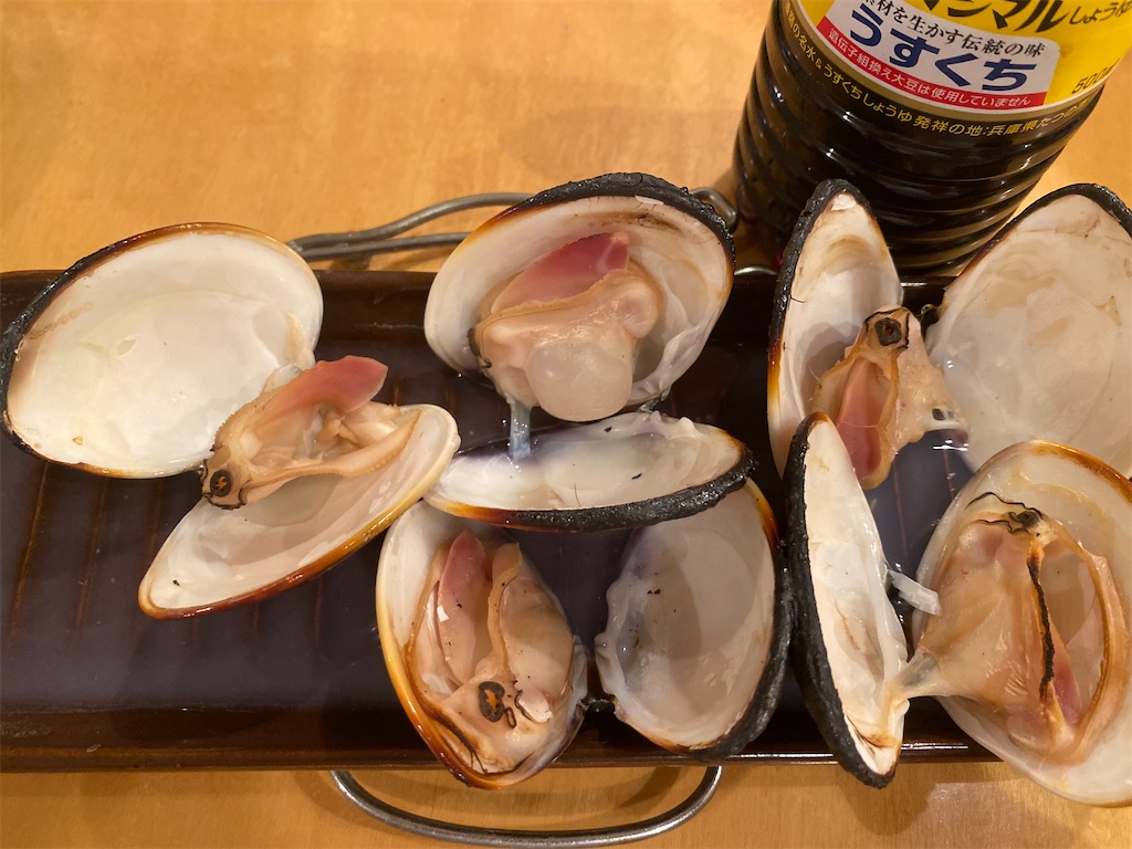 f:id:CHASSESPLEEN:20200303210520j:image