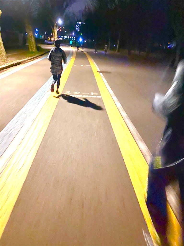 f:id:CHASSESPLEEN:20200309205427j:image