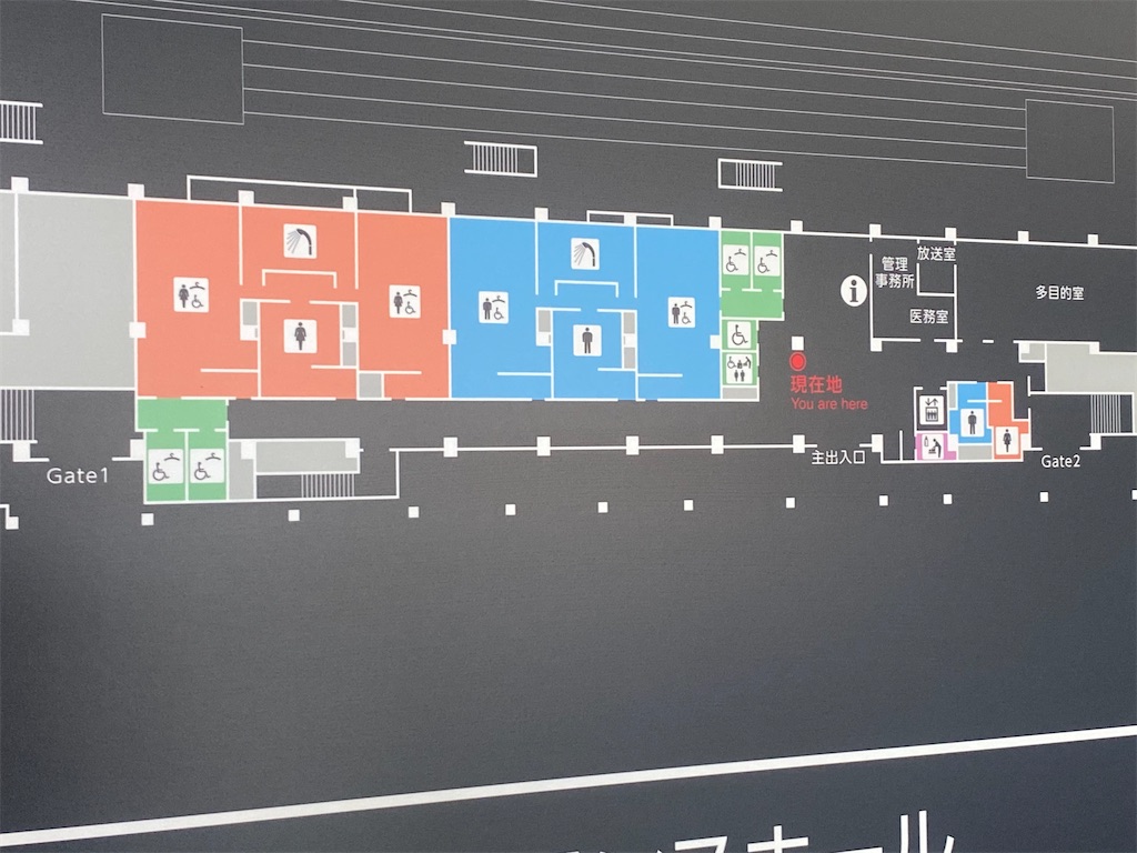 f:id:CHASSESPLEEN:20200315152310j:image