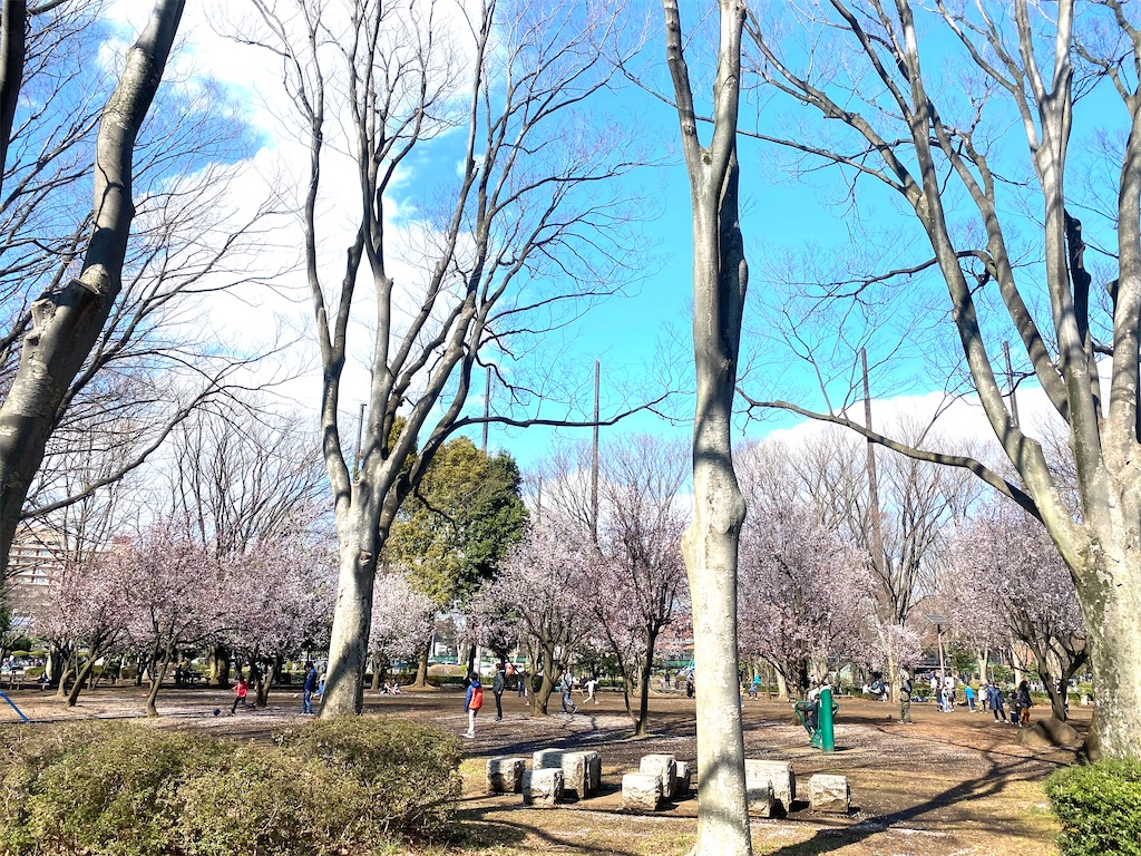 f:id:CHASSESPLEEN:20200315153427j:image