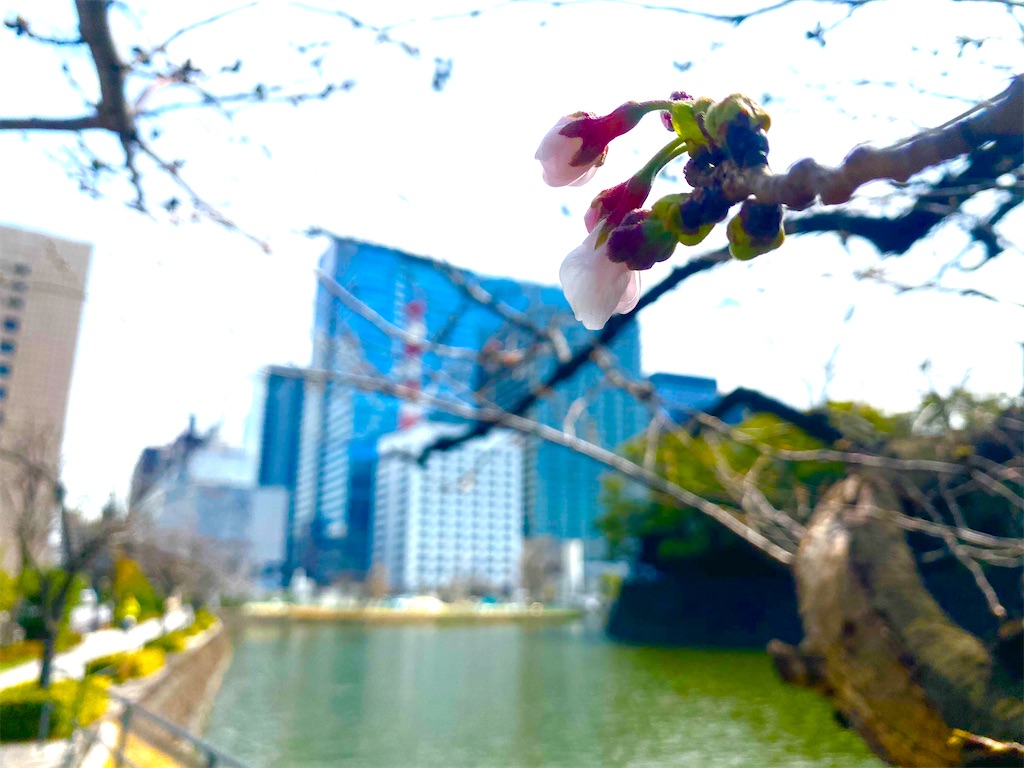 f:id:CHASSESPLEEN:20200317121452j:image