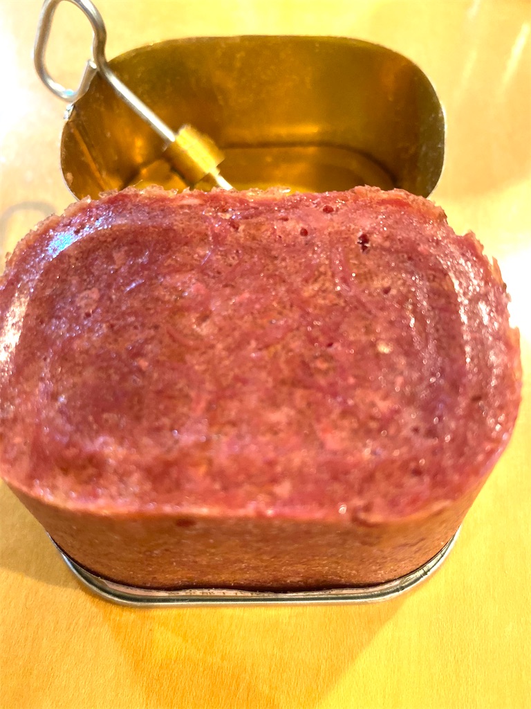 f:id:CHASSESPLEEN:20200319204836j:image