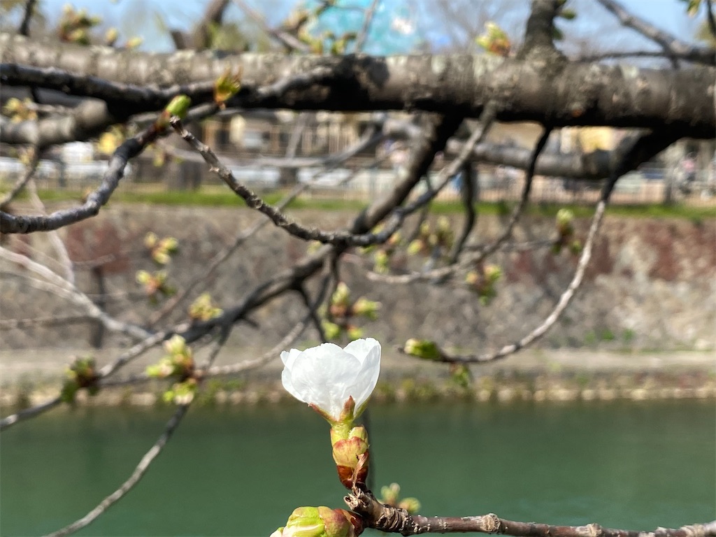 f:id:CHASSESPLEEN:20200323202421j:image