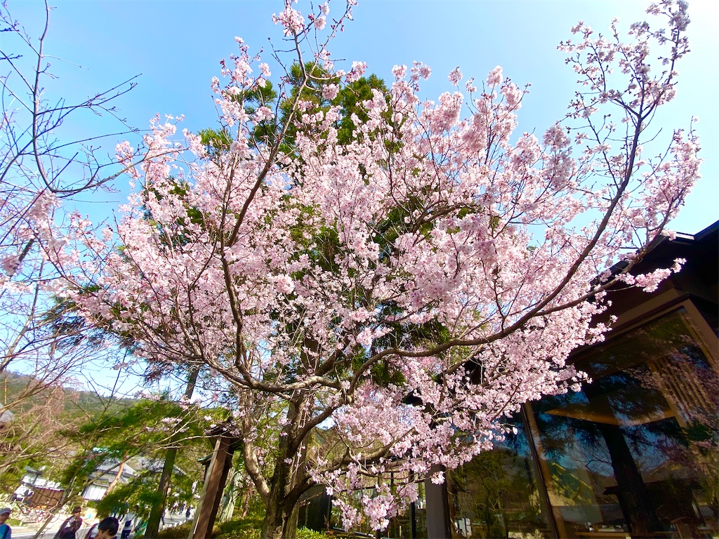 f:id:CHASSESPLEEN:20200323202427j:image