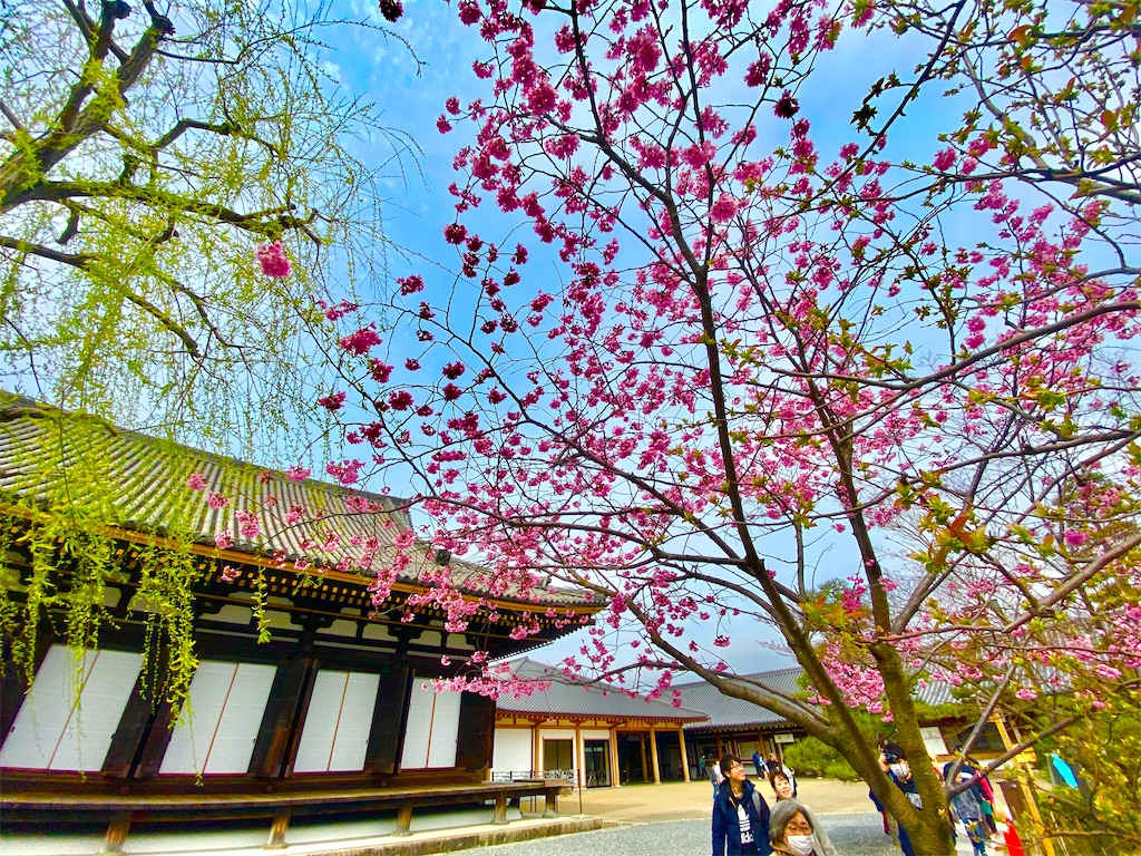 f:id:CHASSESPLEEN:20200323203217j:image