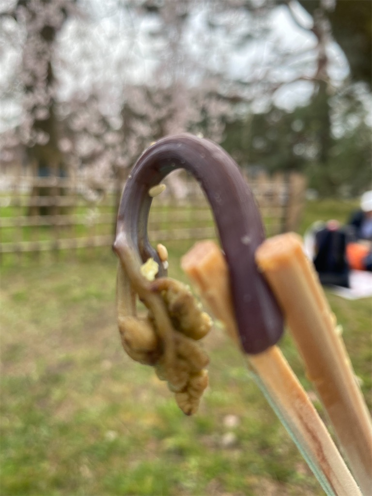 f:id:CHASSESPLEEN:20200323203500j:image