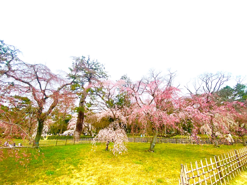 f:id:CHASSESPLEEN:20200323203504j:image