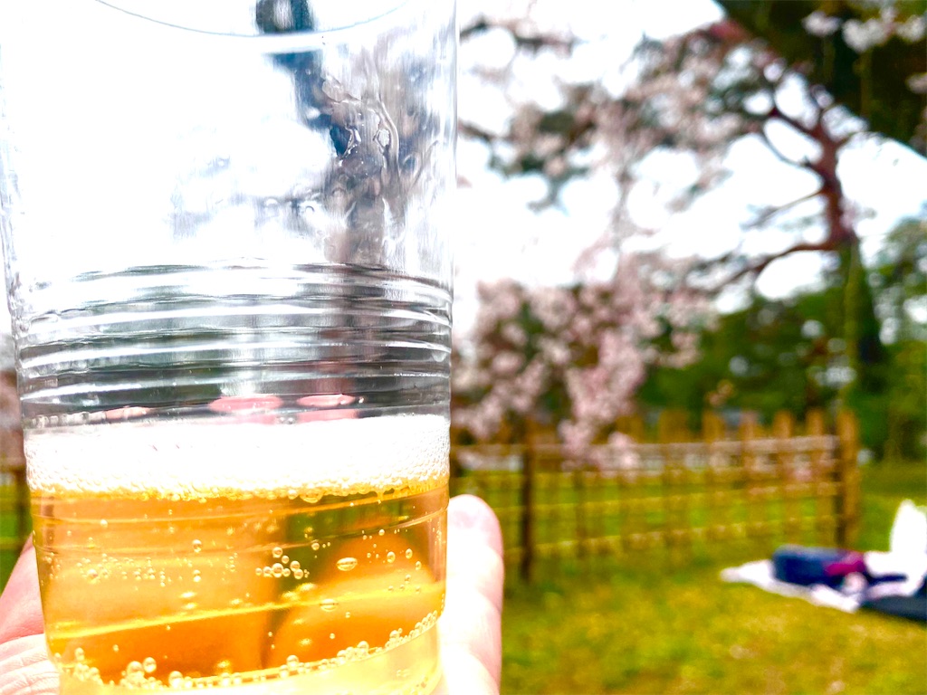 f:id:CHASSESPLEEN:20200323203512j:image