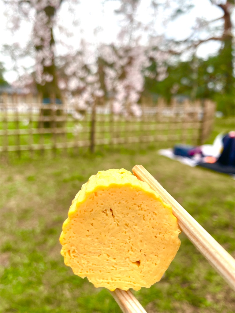 f:id:CHASSESPLEEN:20200323203515j:image