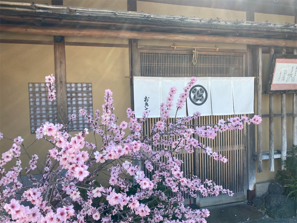 f:id:CHASSESPLEEN:20200323205042j:image