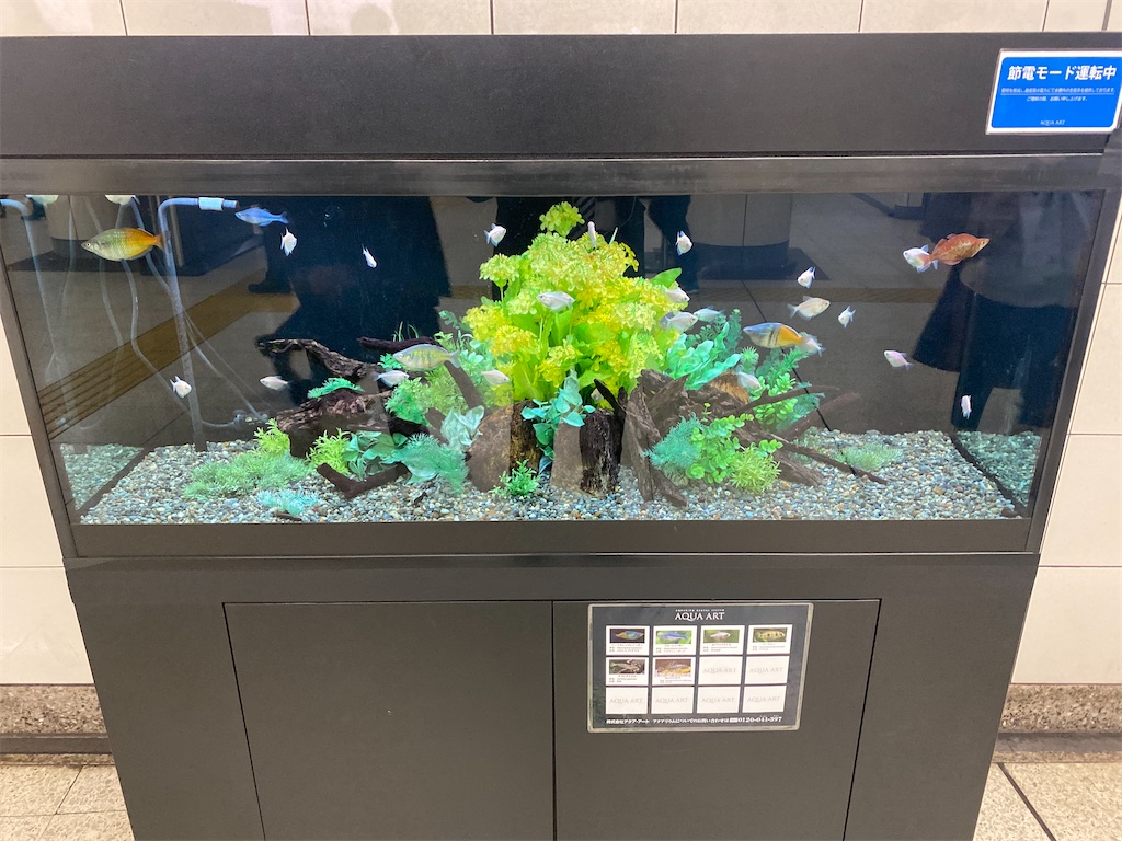 f:id:CHASSESPLEEN:20200326181125j:image