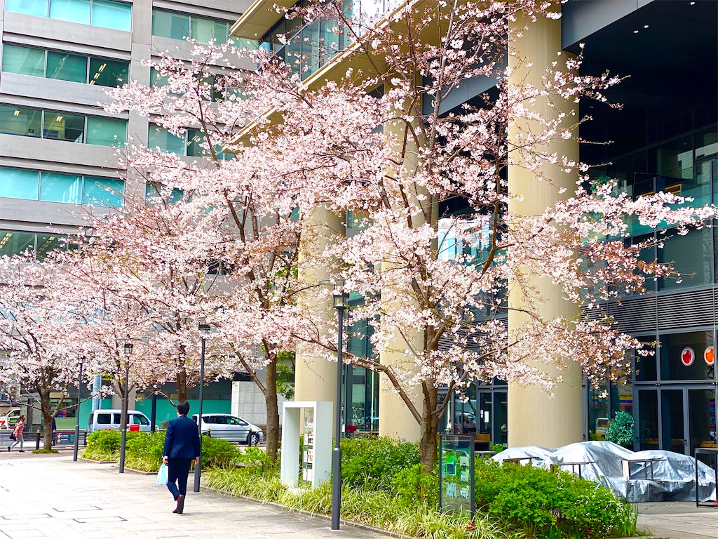 f:id:CHASSESPLEEN:20200327124003j:image