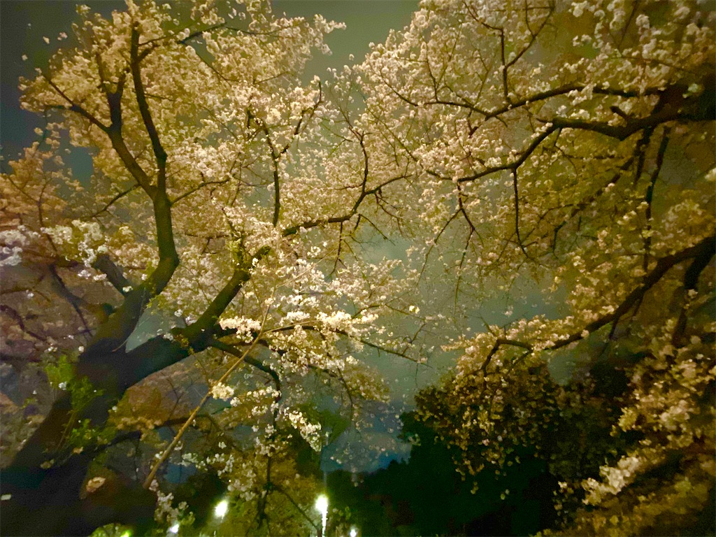 f:id:CHASSESPLEEN:20200327193733j:image