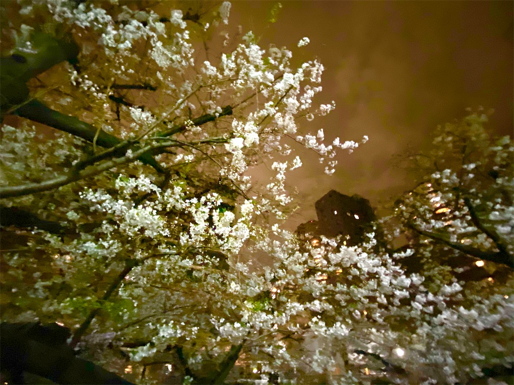 f:id:CHASSESPLEEN:20200327193756j:image